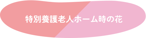 特別養護老人ホーム時の花